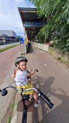 biketripteamsoftijs